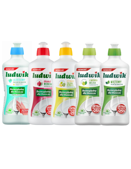 PAKIET LUDWIK Płyn do Naczyń 5 x 450g