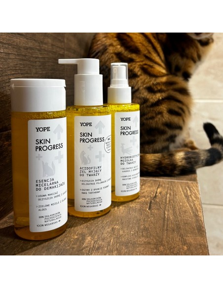 YOPE Skin Progress Zestaw Kosmetyków Pielęgnacyjnych do Twarzy