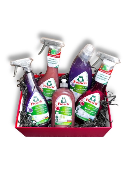 Zestaw Prezentowy Frosch Eko Mistrz Porządku