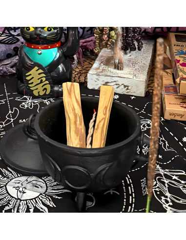 Kadzidło Palo Santo - Drewienko z Peru 1 szt