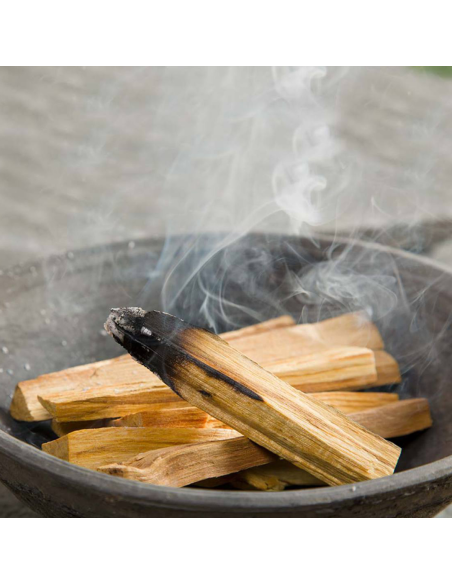 Palo Santo Kadzidło Drewno (3-4 kawałki) 25 g
