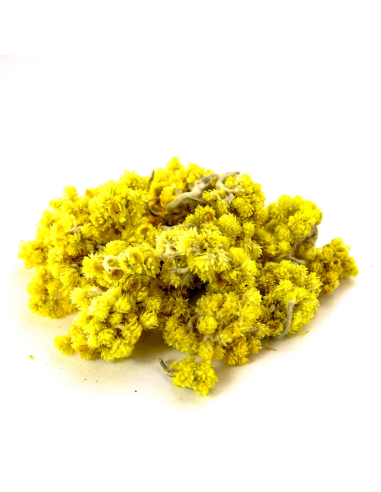 ZIÓŁKO Kocanka piaskowa 25g - Susz na napar