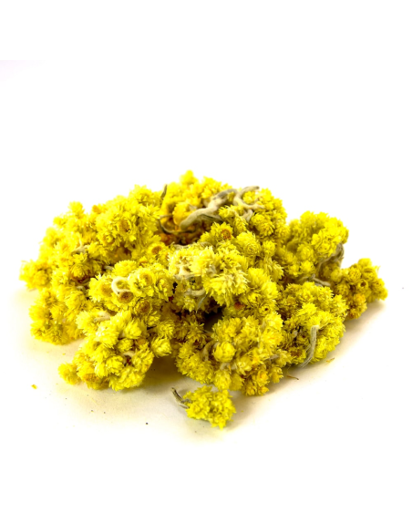 ZIÓŁKO Kocanka piaskowa 25g - Susz na napar