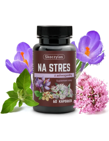 SKOCZYLAS NA STRES, Szafran, Kozłek lekarski 60 Kapsułek
