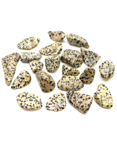 Kamień Naturalny - Jaspis Dalmatyńczyk