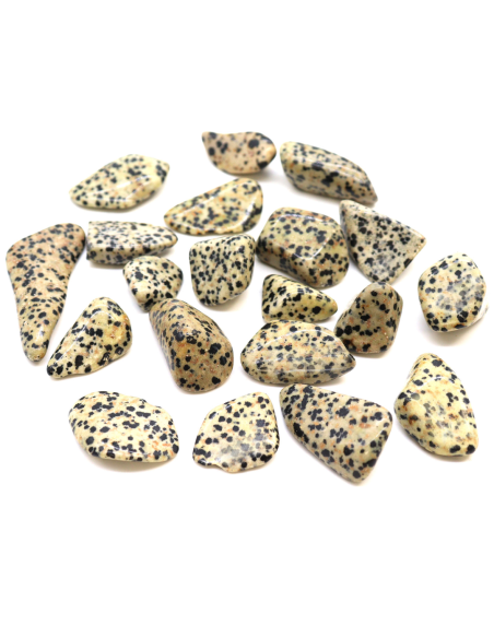 Kamień Naturalny - Jaspis Dalmatyńczyk