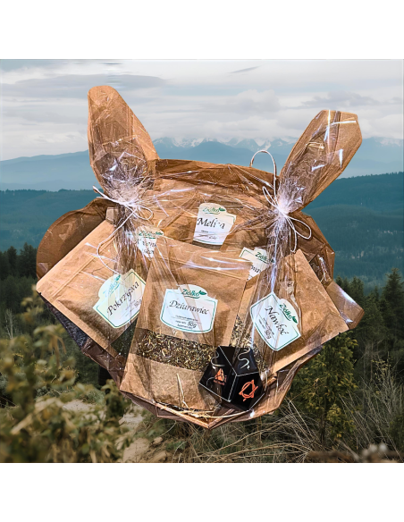 Zestaw Prezentowy Naturalne Zioła z Zaparzaczem