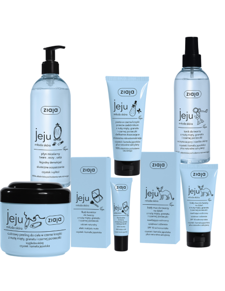 copy of ZIAJA Zestaw kosmetyków WELLNESS Baltic Home Spa