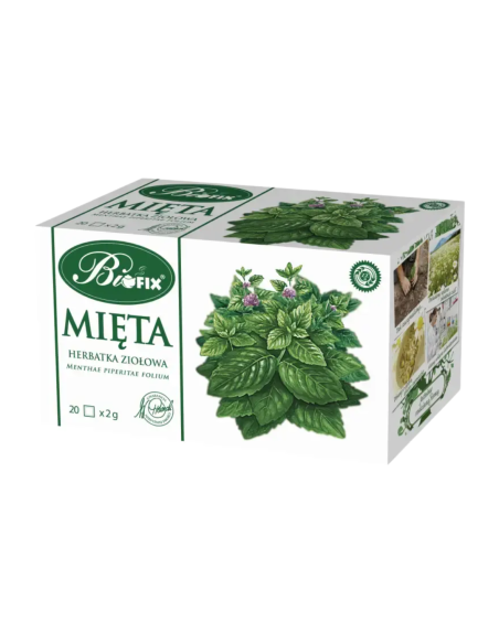 BIFIX Herbata Ziołowa Mięta 20 torebek